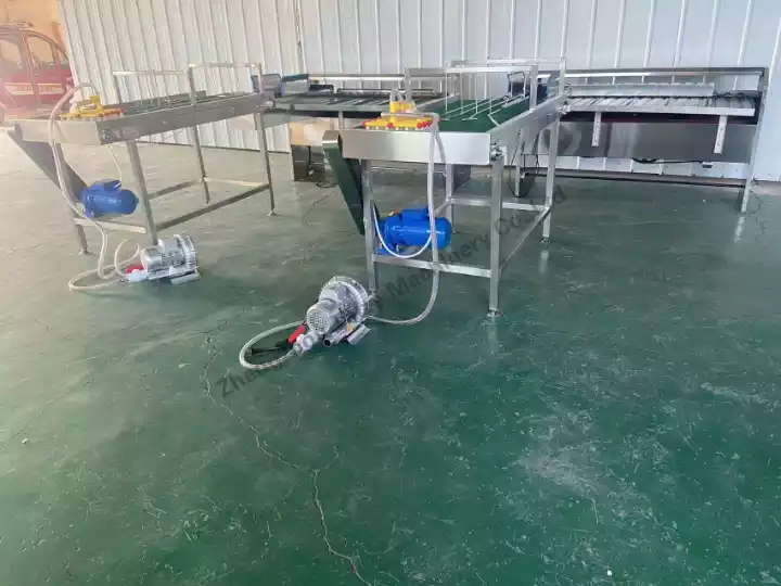 Egg grader machine