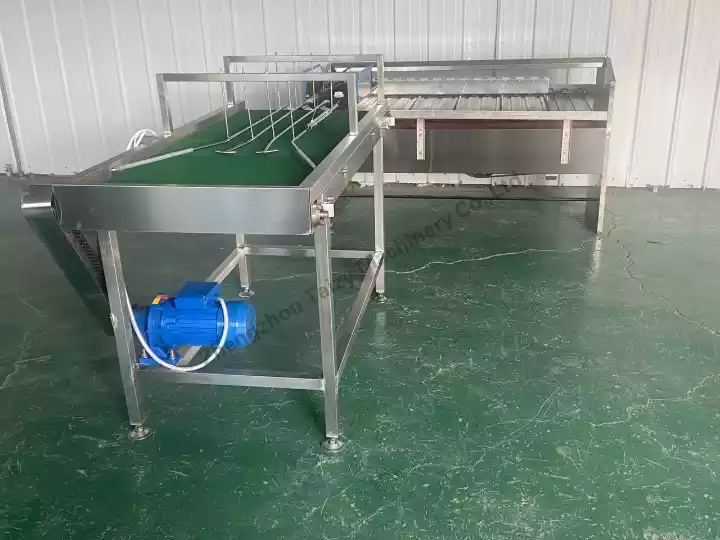 egg grading machine