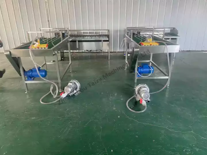 egg grading machine