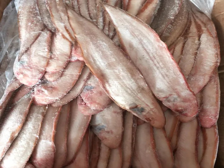 Frozen Meat Slicer Machine | Commercial Meat Planer For Industrial Grinding Prep 7 Frozen fish meat
