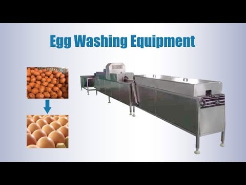 China Factory Price High Quality Stainless Steel Egg Washing Machine Single  Row Egg Washer - China Egg Washing Machine, Double Row Egg Washer