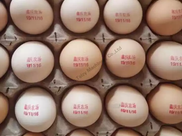 huevos codificados