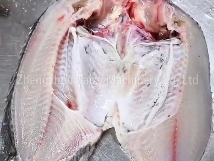 Back-cut fish
