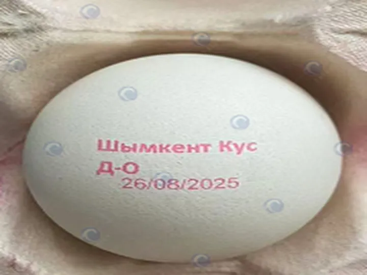 Egg Printing Machine | Egg Stamping Machine 20 Egg printing machine printing result