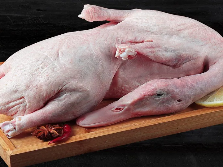 Chicken Cutter | Meat Cutter Machine 8 Whole duck