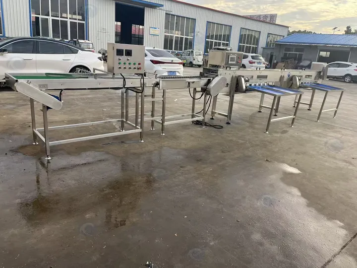 Complete egg electronic grading machine