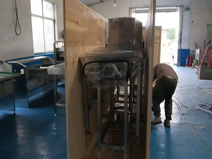 Egg grading machine packing by workers