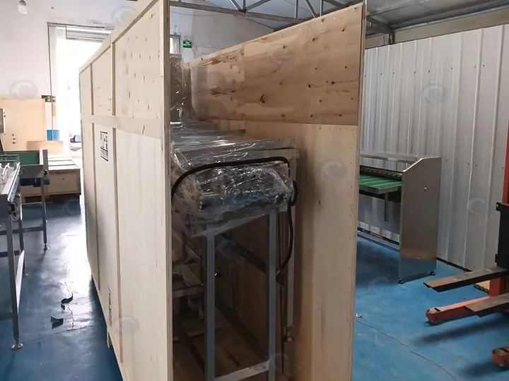 Electronic egg grading machine being packed