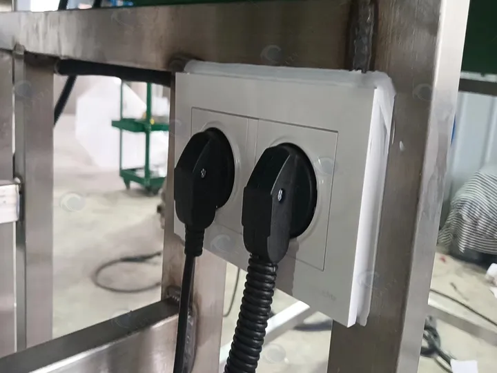 Plug
