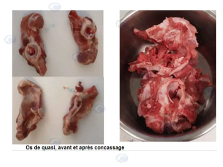 Bone Processing Machine Successfully Shipped To France 3 Bone processing material - image 1