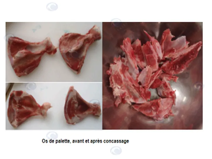 Bone Processing Machine Successfully Shipped To France 4 Bone processing raw material - image 2