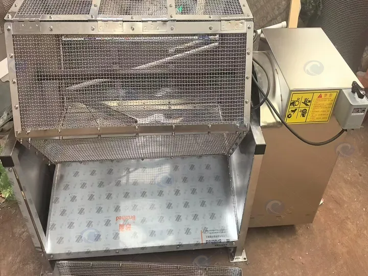 Fish scale remover