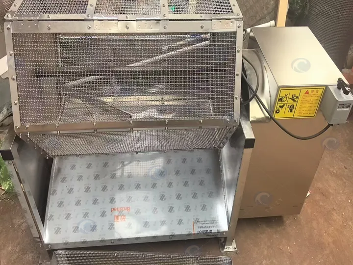 Fish scaling machine